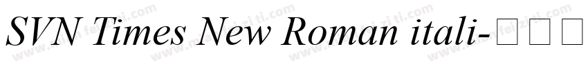 SVN Times New Roman itali字体转换